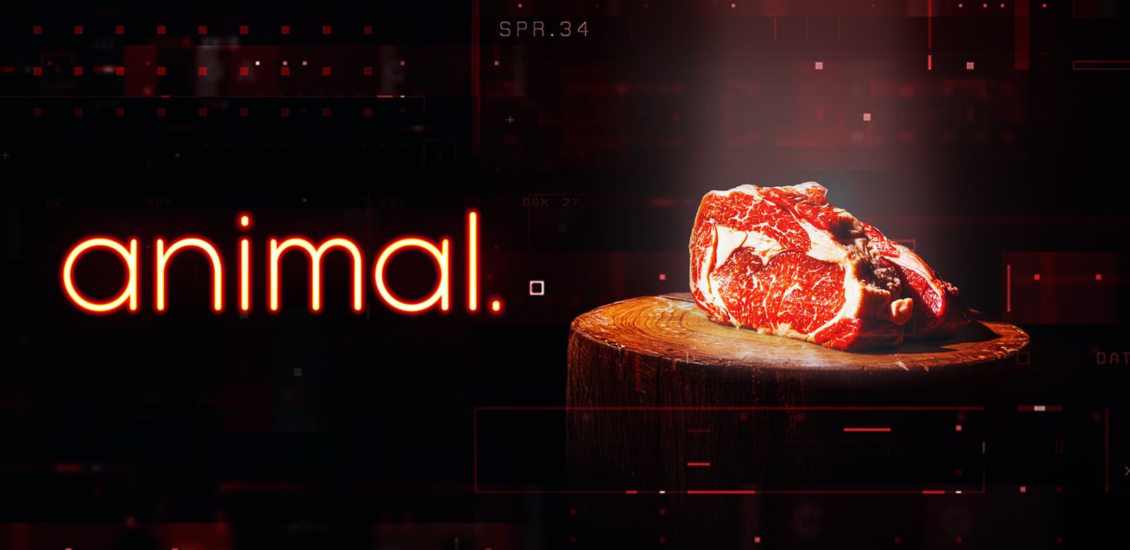 animal. documentary key art
